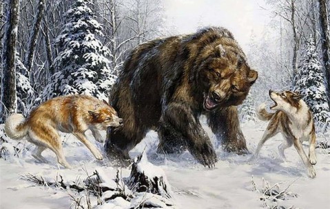 米乐YY易游 - 1月27日广州龙狮对北京北汽的中场活动 