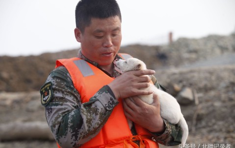 米乐官网 -蓬莱雪豹队鏖战瓯越暴熊队，网球总决赛小胜，替补奇兵立功。细节处理更胜一筹(冰雪壮豪情玉虎助威四海健儿酬伟志)