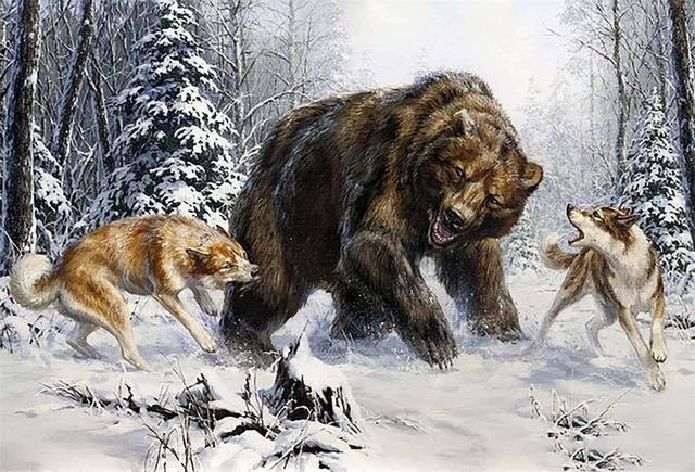 1月27日广州龙狮对北京北汽的中场活动 1月27日广州龙狮对北京北汽的中场活动